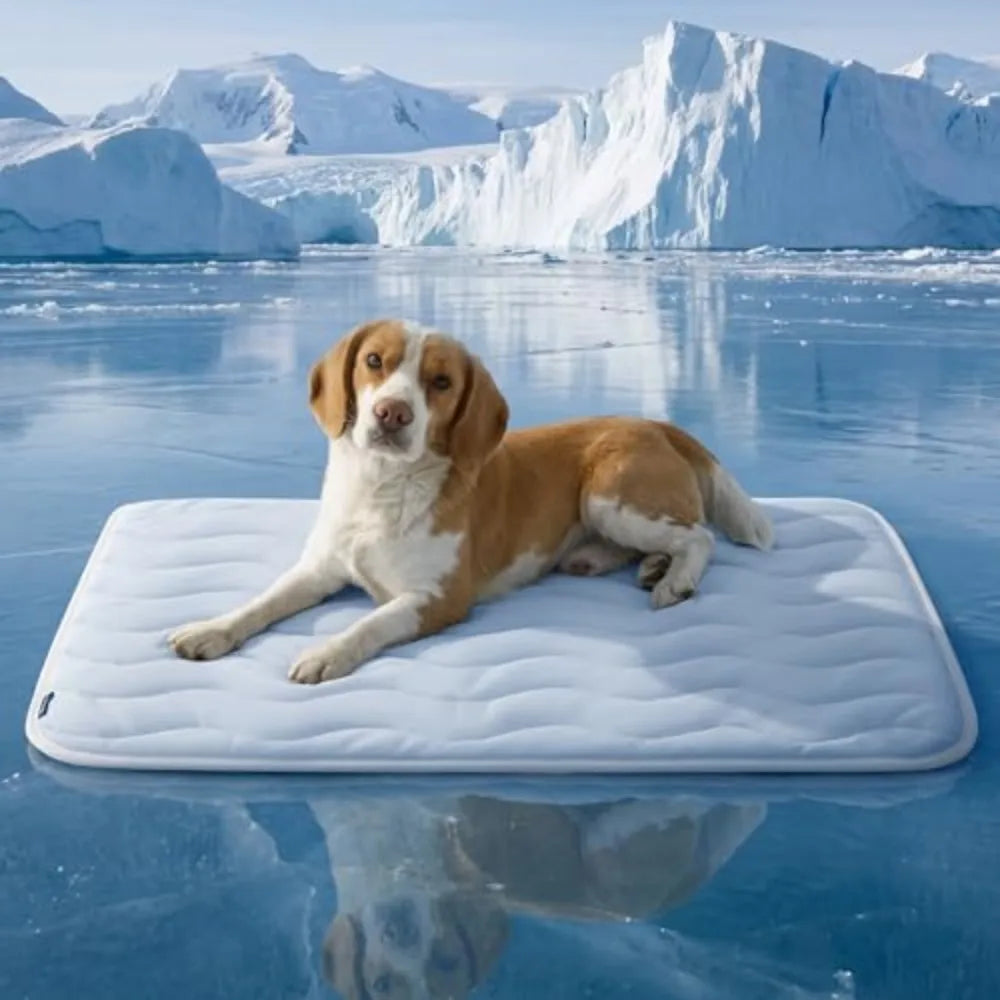 Washable Cooling Dog Mat With Qmax Breathable Fiber Design