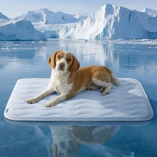 Washable Cooling Dog Mat With Qmax Breathable Fiber Design